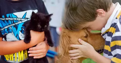 Cmo hacer que nuestros nios puedas respetar a sus mascotas?