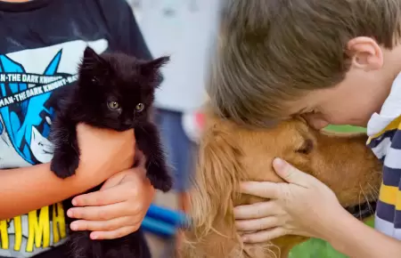 Cmo hacer que nuestros nios puedas respetar a sus mascotas?