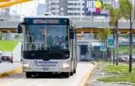 Metropolitano: Viaja DESDE Lima Norte HASTA Villa el Salvador pagando solo S/3.50