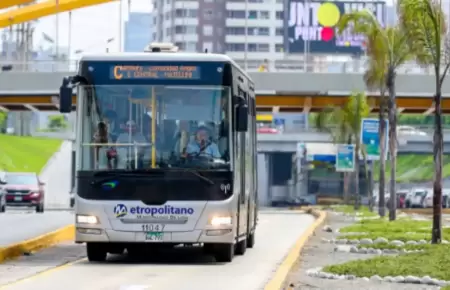 Metropolitano y corredores tendrn desvos este 22 y 23 de noviembre