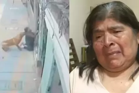 Ataque de perros a mujer de la tercera edad en La Victoria.