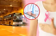 Despistajes de cáncer GRATIS para mujeres en la Estación Central: conoce los horarios y requisitos