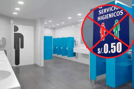 Proyecto de ley: Baos gratis en malls, bancos, terminales.