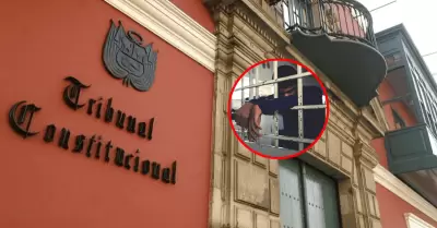 TC analizar este 25 de noviembre demanda contra ley N 32330