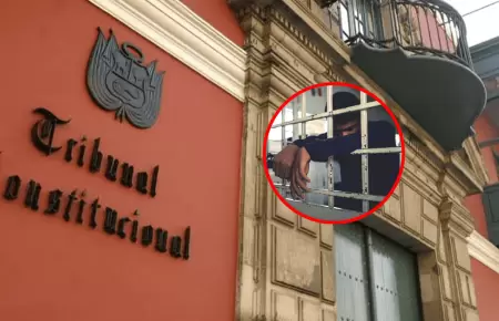 TC analizar este 25 de noviembre demanda contra ley N 32330