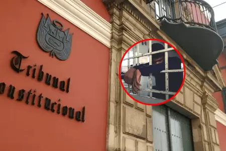 TC analizar este 25 de noviembre demanda contra ley N 32330