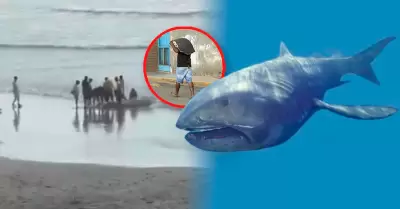 Piura: pobladores encuentra especie de tiburn protegida y se llevan su carne.