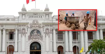 Comisi�n Permanente abordar� el tema del Reinfo.