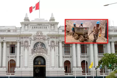 Comisi�n Permanente abordar� el tema del Reinfo.