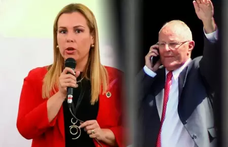 Molinelli seala que TC debera aprlicar mismo criterio para PPK.