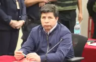 Pedro Castillo: TC desestima demanda de hábeas corpus sobre condiciones carcelarias del expresidente