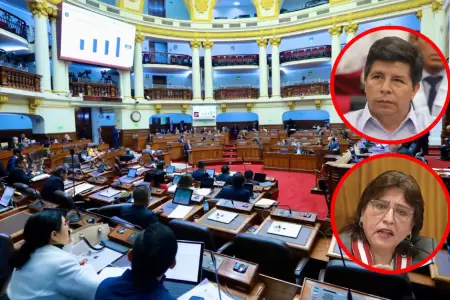 Pleno debatir� denuncias constitucionales de Pedro Castillo y Delia Espinoza.