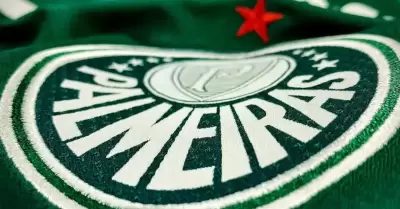 Palmeiras se pronunci sobre fallecimiento de hincha en Lima.