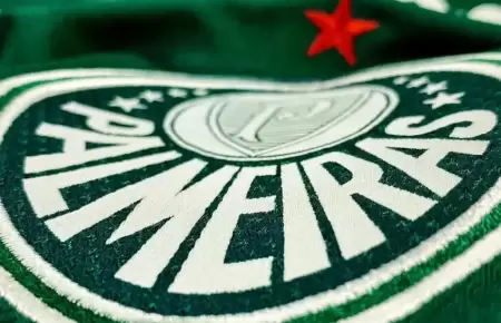 Palmeiras se pronunci sobre fallecimiento de hincha en Lima.