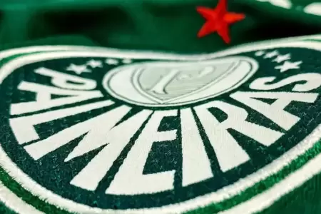 Palmeiras se pronunci sobre fallecimiento de hincha en Lima.