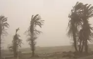 Alerta en costa peruana: Vientos intensos generarn nubes de polvo y arena desde HOY 30 de noviembre