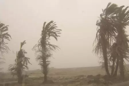 Senamhi advierte levantamiento y polvo y arena en la costa por fuertes vientos.