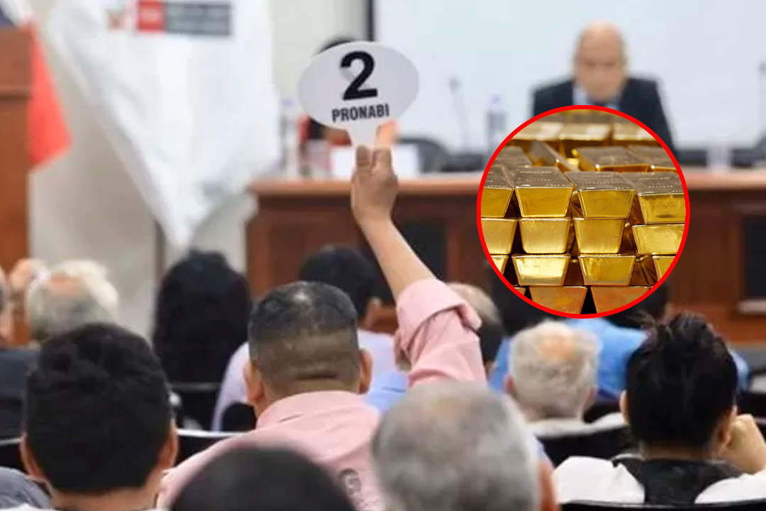 Se dispuso que el lingote sea ahora un recurso pblico.