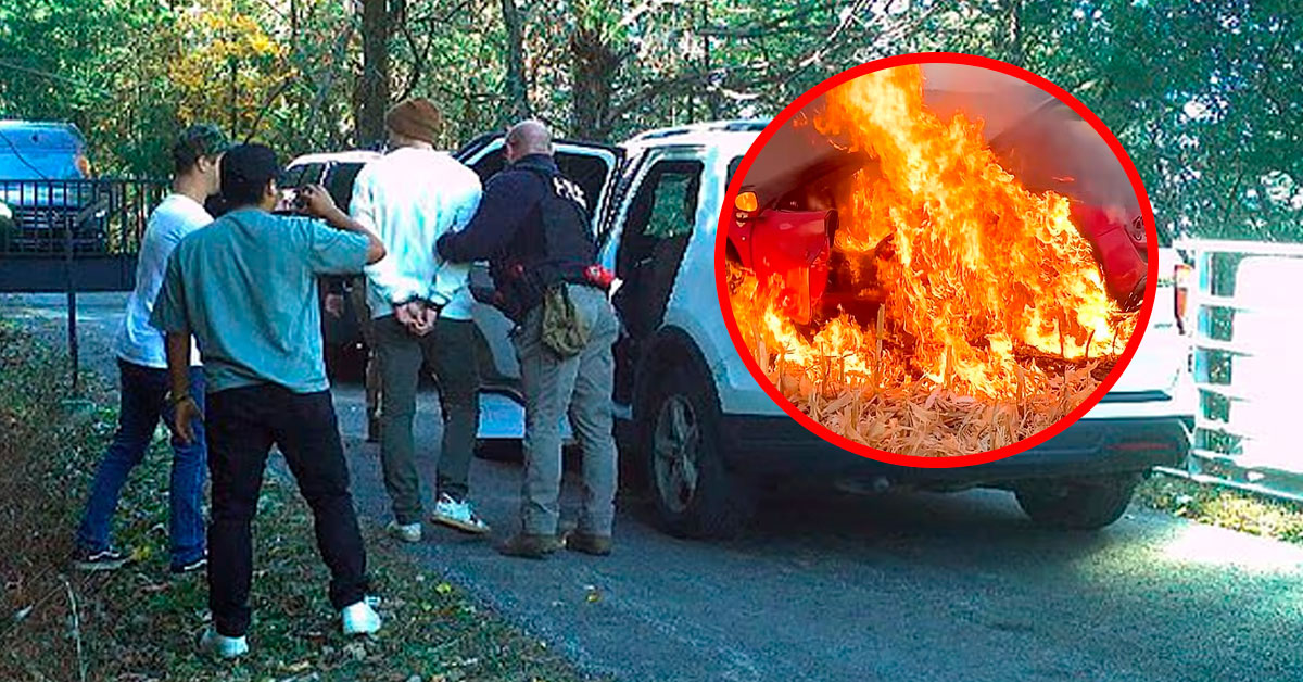 Famoso INFLUENCER incendió su auto para ganar seguidores: Podría ir a PRISIÓN hasta por 6 años