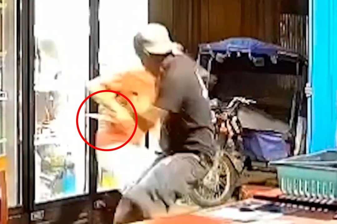 Sujeto llevaba un arma blanca que acaboó con la vida del joven defensor.