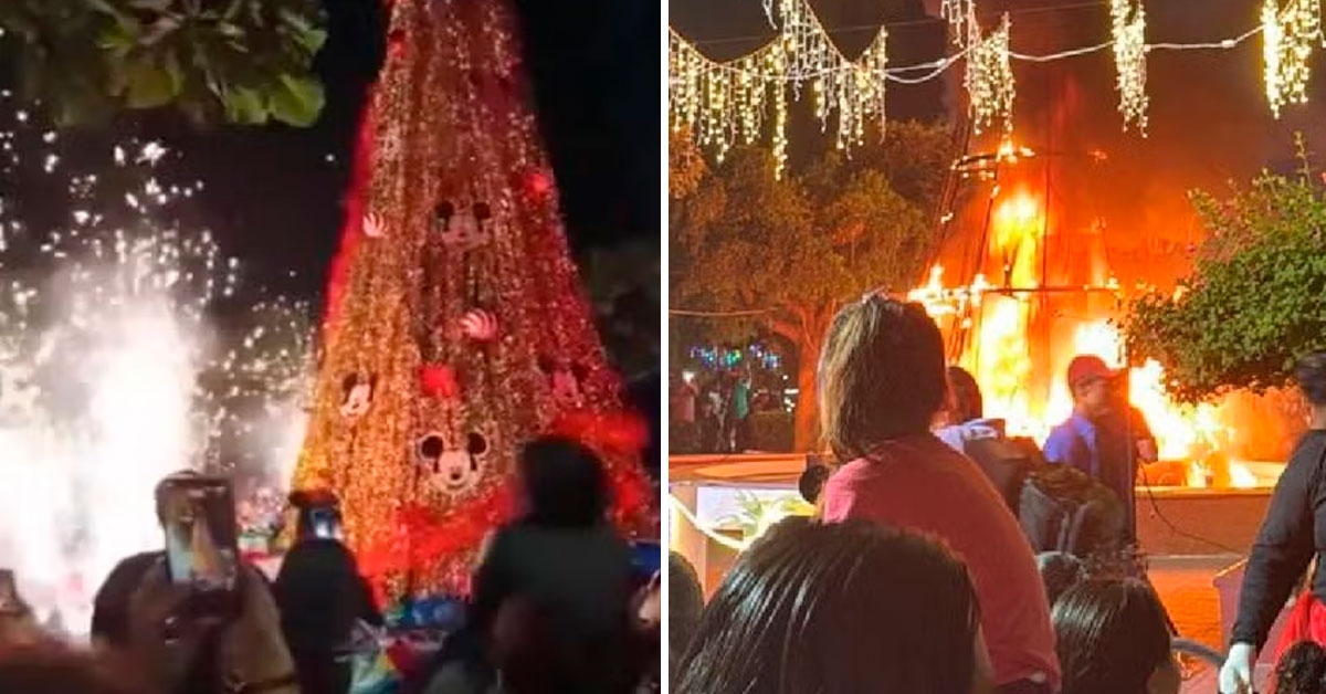 Celebración casi termina en tragedia: Árbol de Navidad se incendió tras uso de pirotecnia