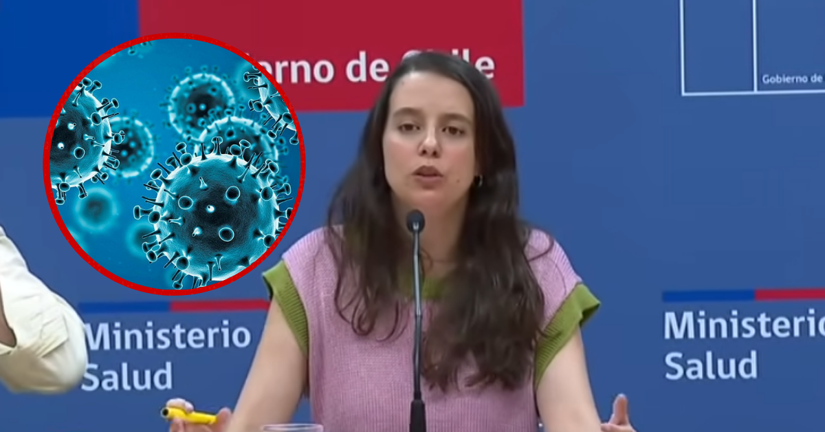 Chile confirma primer caso de la gripe A H3N2 variante K: Influenza se mantiene bajo control