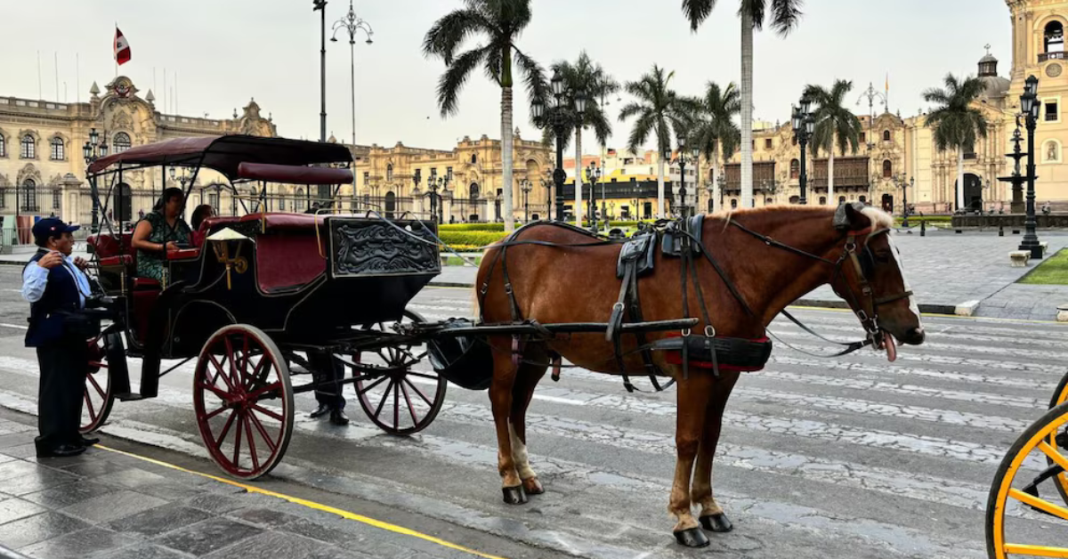 PJ ordena PROHIBICIÓN de paseos a caballo en Centro Histórico de Lima por vulnerar protección animal