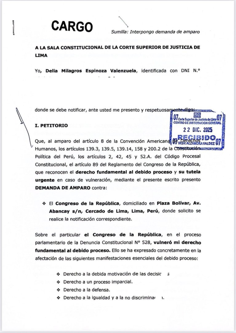 Demanda de amparo presentada por Delia Espinoza contra el Congreso.