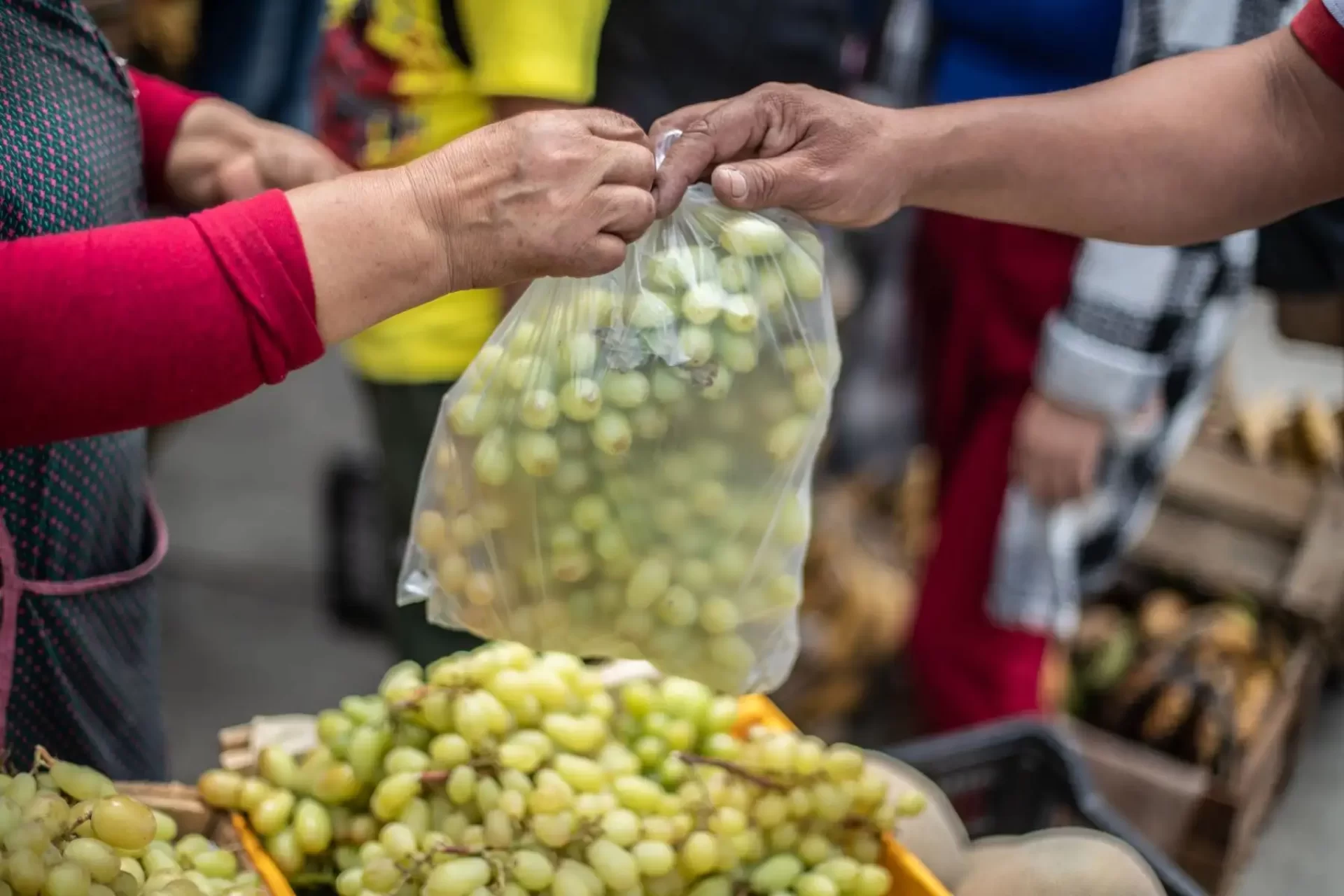 Las uvas se convirtieron en el s�mbolo m�ximo de propseridad para a�o nuevo.