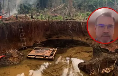 Ampliacin del REINFO abordado desde la seguridad