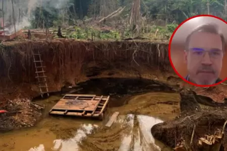 Ampliacin del REINFO abordado desde la seguridad