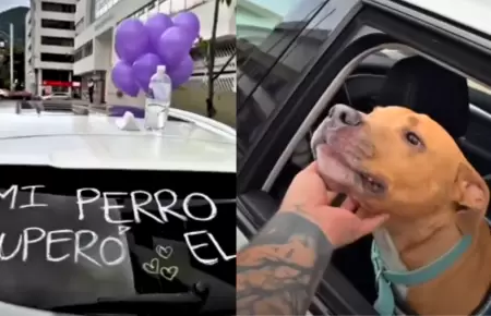 Perrito que celebra en las calles tras vencer el cncer se vuelve viral.
