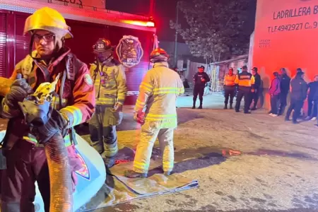 Ate: Incendio en cochera deja m�s de 15 buses de transporte p�blico calcinados