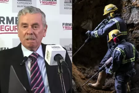 Fernando Rospigliosi respald ampliacin de Reinfo, pero estableci restriccione