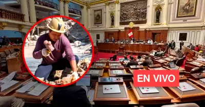 Congreso debatir por separado ampliacin de REINFO y reintegracin de mineros.