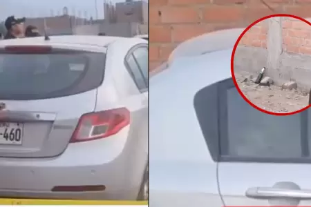 Hallan cuerpo de hombre sin vida en su vehculo