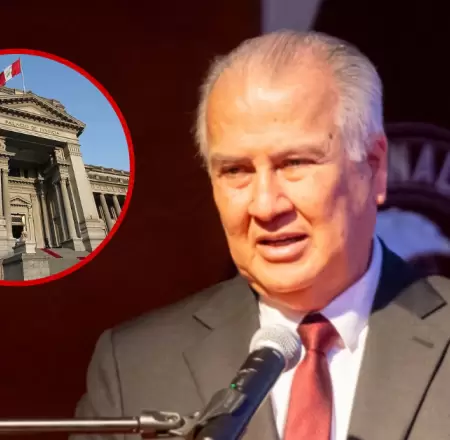 Partido Ahora Naci�n participa de primarias pese a orden de PJ