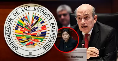 Canciller present ante la OEA la postura poltica inicial del Per sobre el uso