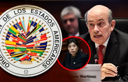 Canciller present ante la OEA la postura poltica inicial del Per sobre el uso