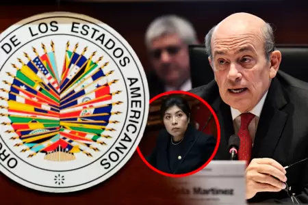 Canciller present ante la OEA la postura poltica inicial del Per sobre el uso