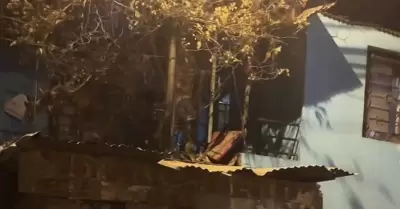 Beb de 11 meses fallece tras brutal ataque de dos perros pitbull.