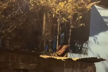 Beb de 11 meses fallece tras brutal ataque de dos perros pitbull.