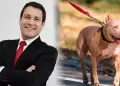 Veterinario Rodrigo Rondn sobre ataque de pitbull a beb de 11 meses: "El perro que caus el fallecimiento debe ser eutanasiado"