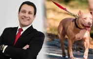 Veterinario Rodrigo Rondón sobre ataque de pitbull a bebé de 11 meses: "El perro que causó el fallecimiento debe ser eutanasiado"