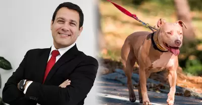 El mdico veterinario Rodrigo Rondn afirma que la responsabilidad del fallecimi