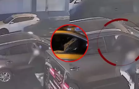 Grupo Terna de la PNP captur a 'Los Engendros de San Lorenzo' en Surquillo