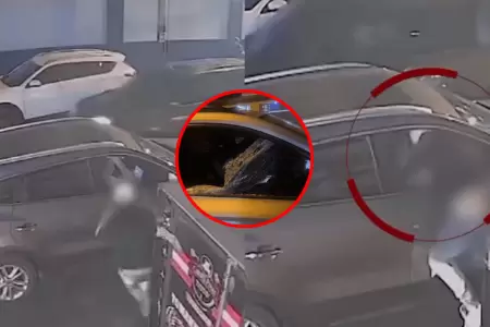 Grupo Terna de la PNP captur a 'Los Engendros de San Lorenzo' en Surquillo