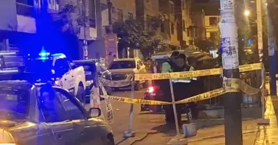 Santa Anita: Panal de abejas frente a farmacia alarma a vecinos