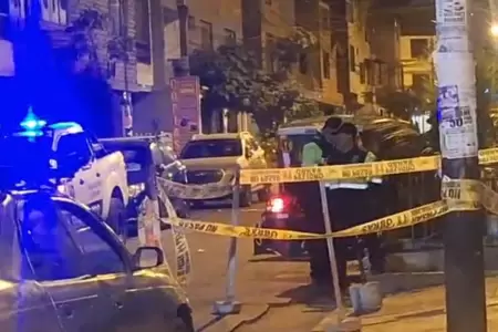 Santa Anita: Panal de abejas frente a farmacia alarma a vecinos