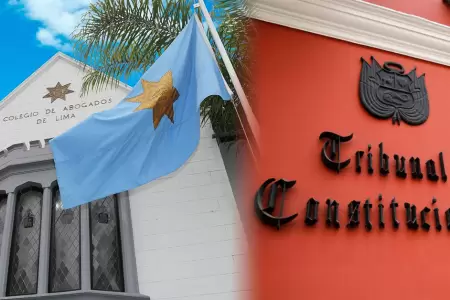 Colegio de Abogados de Lima cuestiona decisi�n del TC